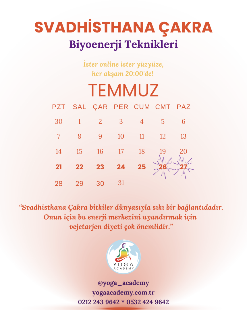 ÇAKRA ÇALIŞMALARI