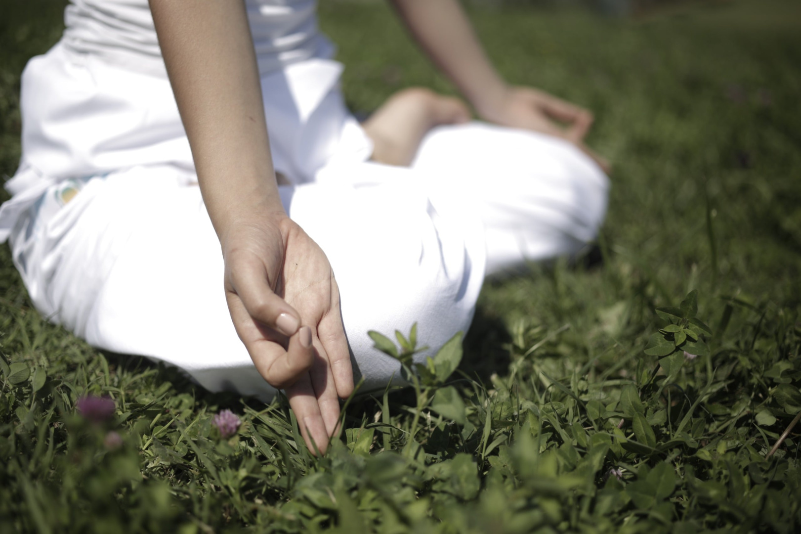 Başlangıç Seviyesinde Yoga ve Meditasyon Teknikleri 