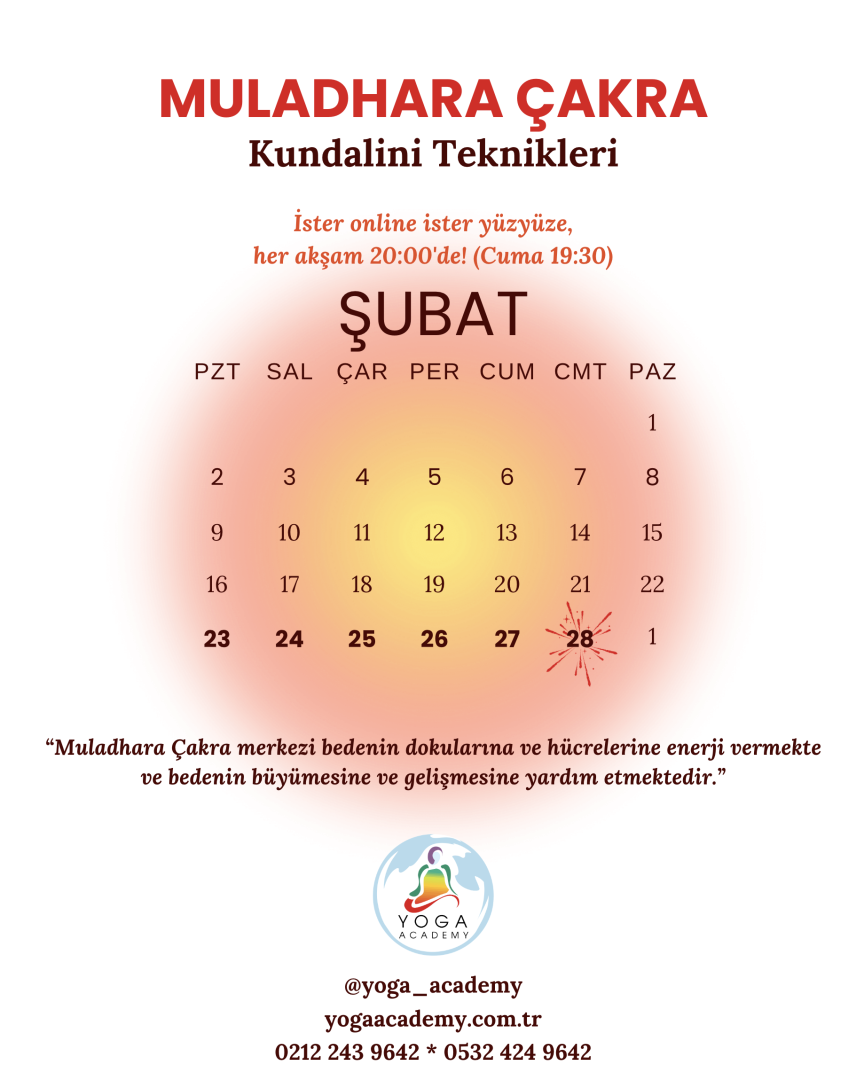 ÇAKRA ÇALIŞMALARI