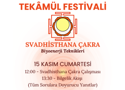 15 Kasım Tekâmül Festivali - Svadhisthana Çakra Çalışması